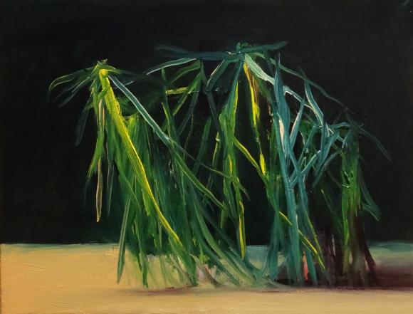 joseba eskubi XXXXXIII